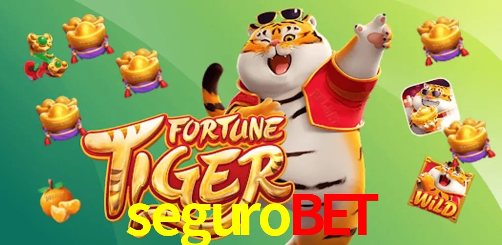 Experiência VIP segurobet